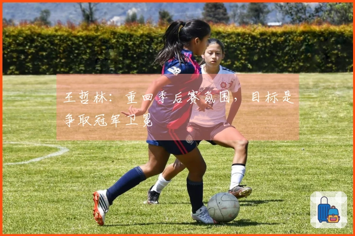 王哲林：重回季后赛氛围，目标是争取冠军卫冕